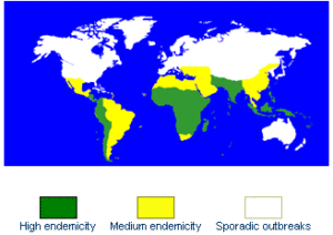 typhoid map1