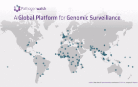 Animated gif showing usage of the Pathogenwatch platform