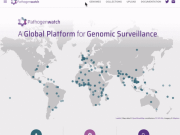 Animated gif showing usage of the Pathogenwatch platform