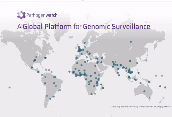 Animated gif showing usage of the Pathogenwatch platform