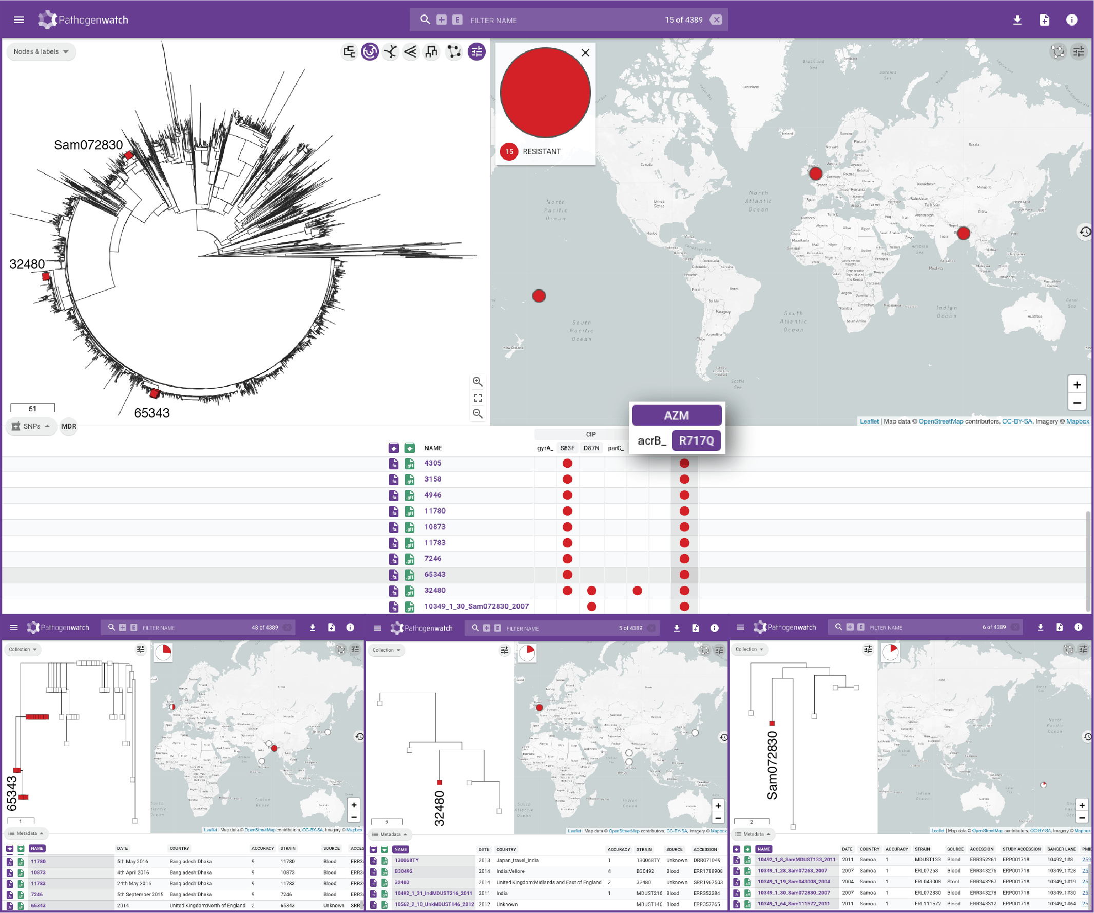 Image of drug-resistant typhoid genome data from Bangladesh