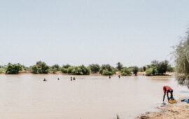 Young men swimming in a lake created during the rainy season in Matam, Senegal. PATH/Gabe Bienczycki