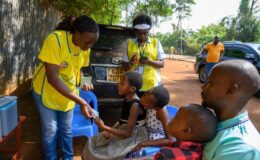 A vaccinator gives a TCV vaccination card to a child in Busia County, Kenya, during the country’s TCV introduction campaign in July 2025.