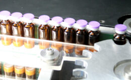 Rows of vaccine vials. New TCV product options can help guarantee a stronger market.